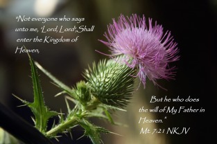 Not EVRYONE that says Lord, Lord..