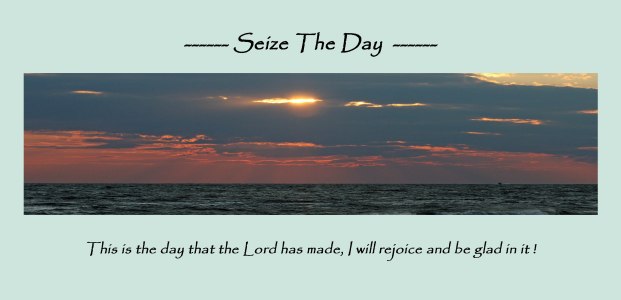 Seize the Day Pana