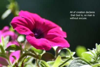 All creation